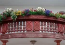 Balkon virágok árnyékos helyre