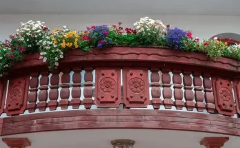 Balkon virágok árnyékos helyre