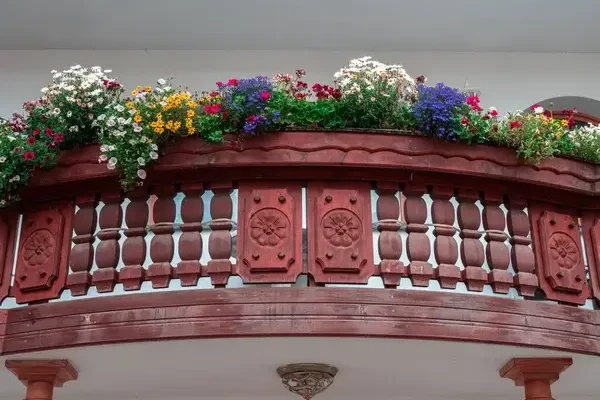Balkon virágok árnyékos helyre