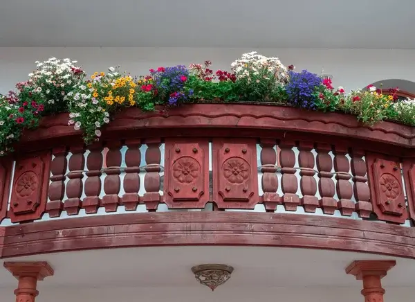 Balkon virágok árnyékos helyre