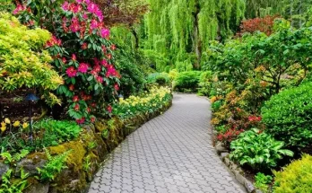 Hogyan hozzunk létre virágos ösvényeket a kertben?
