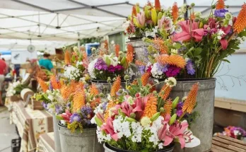 A legjobb vágott virágok, amelyek sokáig frissek maradnak