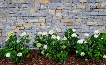 Hogyan használd a mulcsot a virágoskertben?