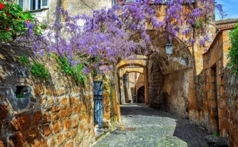 ültetési ötleteket és gondozási tanácsokat, hogy csodás virágfalad legyen!