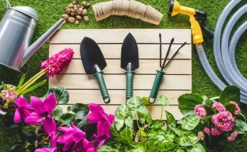 Kerti virágok a négy évszakban – mit mikor ültess?