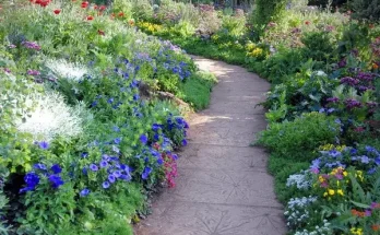 Kerti utak, melyeket virágok szegélyeznek