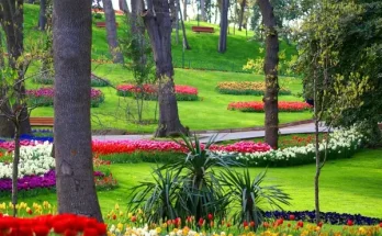 Virágos díszkertek tervezése lépésről lépésre