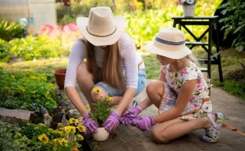 Virágoskert tervezése gyerekekkel