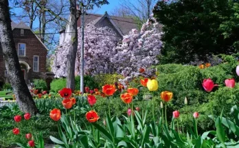 Kerti inspiráció: virágos kertek a világ minden tájáról