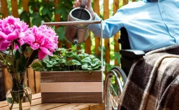 Így ültess virágokat idősebbek vagy mozgáskorlátozottak kertjébe