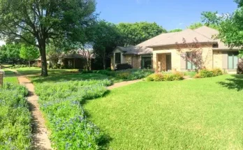 Milyen virágokat ültess a ház előtti ágyásba?