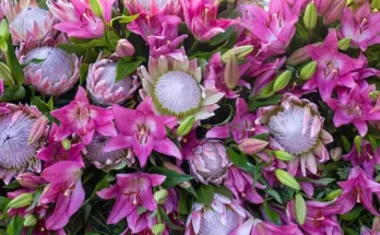 Különleges formájú virágok, amikkel meglepheted magad