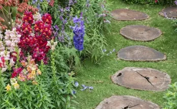Évelő virágok, amikkel minden évben kevesebb a gond