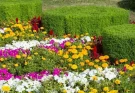 Színes kerti virágágyások évszakonként