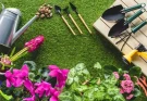 Virágos útmutató: milyen növényt mikor ültess?