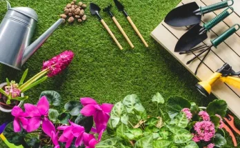 Virágos útmutató: milyen növényt mikor ültess?