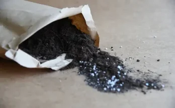Mely virágok szeretik a savanyú, melyek a lúgos talajt?