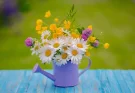 Hogyan készíts virágos kompozíciókat saját kertedből?