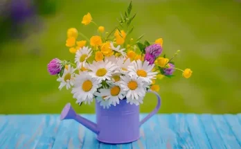 Hogyan készíts virágos kompozíciókat saját kertedből?