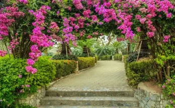 Virágos lugas a kert végében: álom vagy valóság?