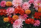 Színes őszi virágok: az év utolsó pompája