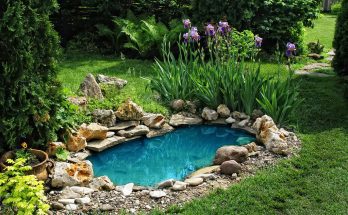 Kerti tavak mellé ültethető csodás virágok