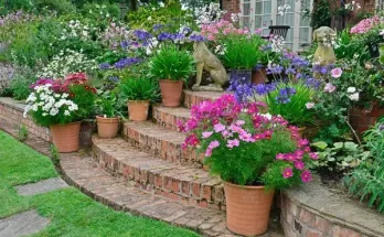 Ötletek virágos előkertek kialakításához