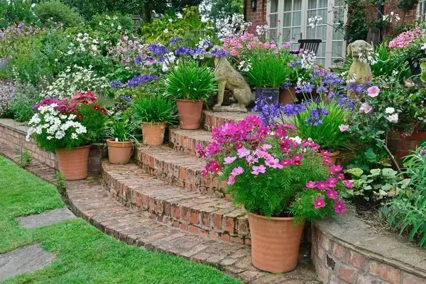 Ötletek virágos előkertek kialakításához