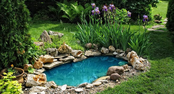 Kerti tavak mellé ültethető csodás virágok