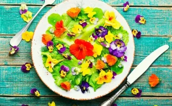 Ehető virágok a kertben: mire figyelj?