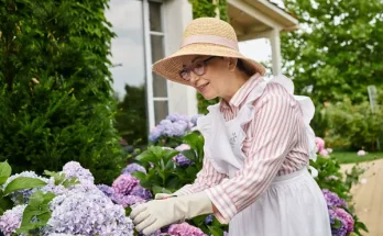 Melyek a leghosszabb ideig virágzó növények? Top 7 választás
