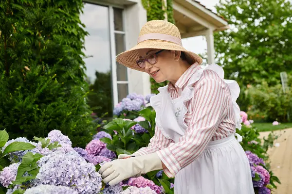 Melyek a leghosszabb ideig virágzó növények? Top 7 választás