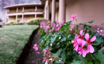 Kerti inspirációk: virágos sétányok és utak kialakítása