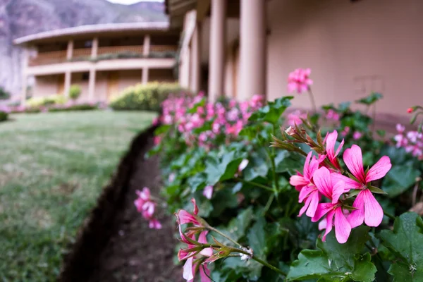 Kerti inspirációk: virágos sétányok és utak kialakítása