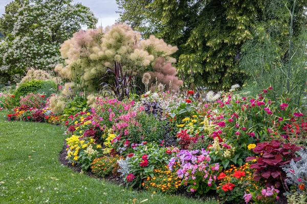 Színek a kertben: hogyan válassz virágokat színtársítás alapján?