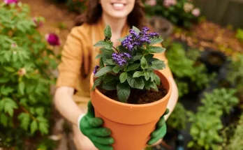 Milyen virágot ültessek? Személyiségteszt kertészeknek