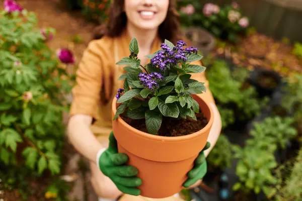 Milyen virágot ültessek? Személyiségteszt kertészeknek